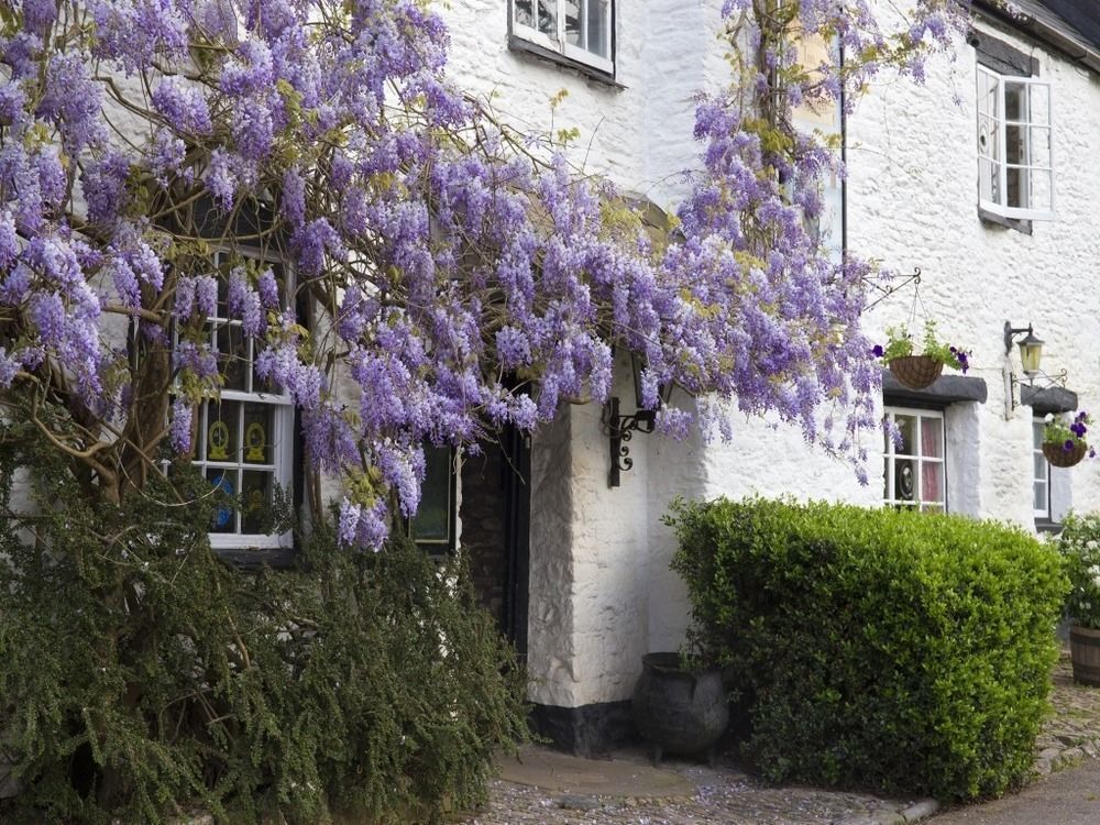 Old Church House Inn Newton Abbot Exterior foto